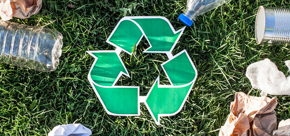 Lee más sobre el artículo Día Mundial del Reciclaje